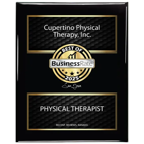 BusinessRate Best of 2025 award plaque for Cupertino Physical Therapy
